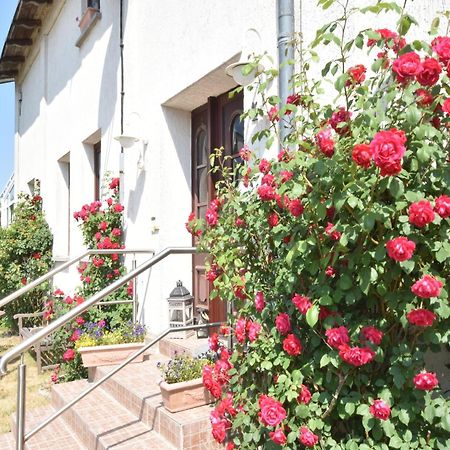 Inviting Apartment In Wendelstorf With Communal Garden מראה חיצוני תמונה